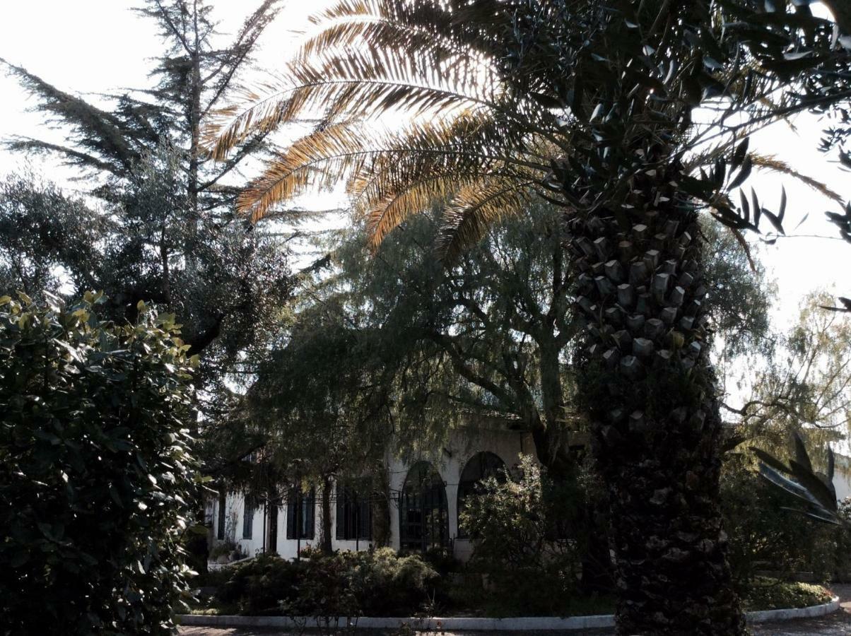 Paradiso In Campagna Triggianello 外观 照片